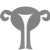 Gynecology & Obstetrics 